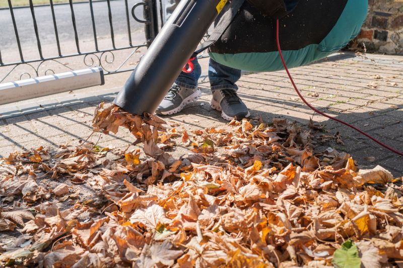 Backyard Leaf Removal