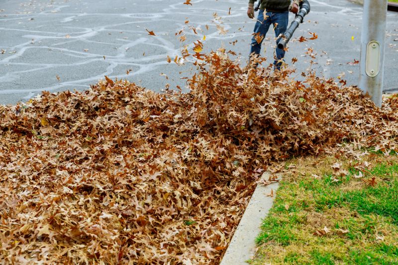 Backyard Leaf Removal