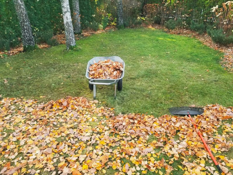 Backyard Leaf Removal