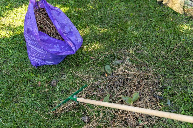 Leaf Collection Tools