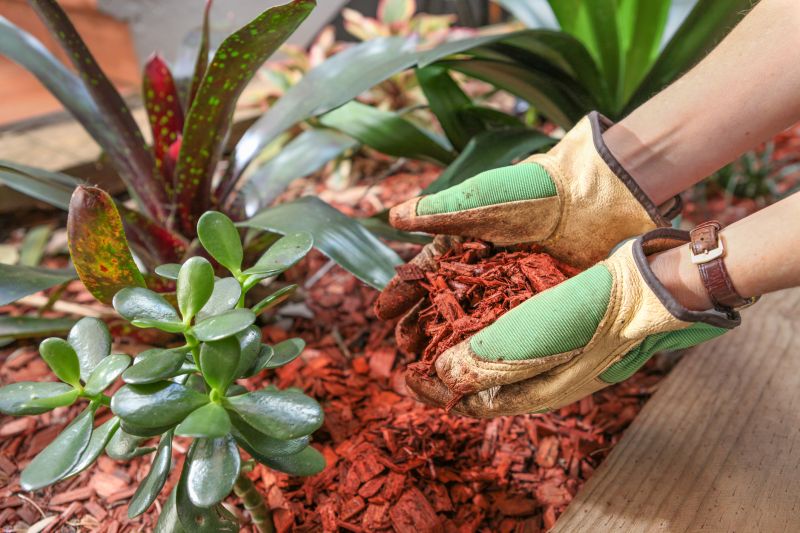 Black Mulch Installation in Honolulu, HI