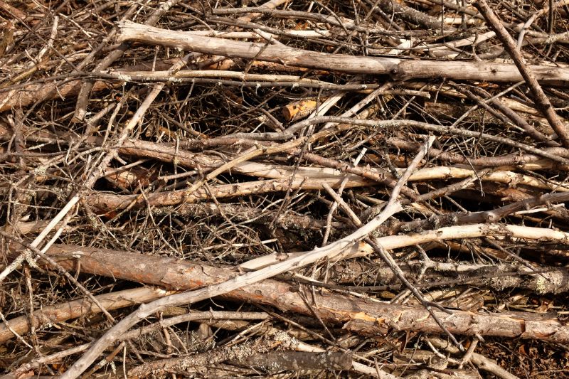 Brush Cleaning Service in Ventura County, CA