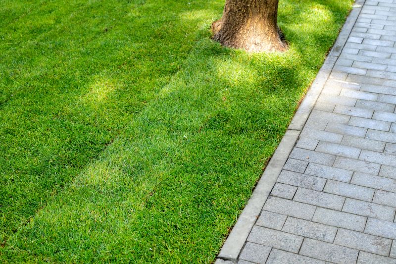 Dryscape Landscaping in Ventura County, CA