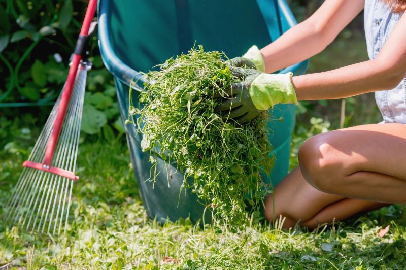 Fall Lawn Cleanup Service in Honolulu, HI