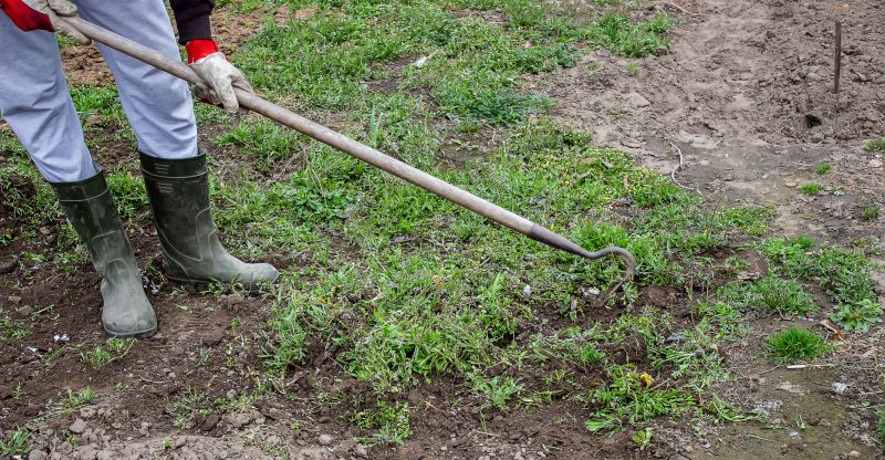 Garden Cleanup Service in Ventura County, CA