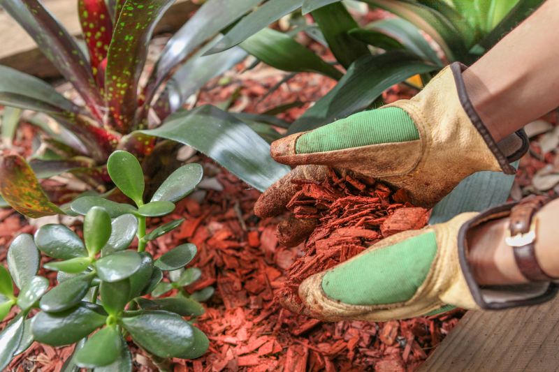 Garden Mulch Installation in Honolulu, HI