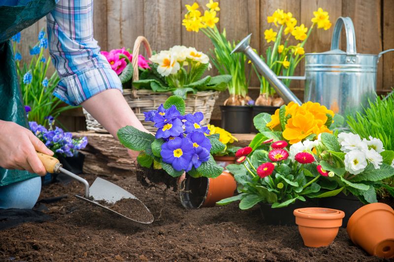 Gardening Service in Honolulu, HI