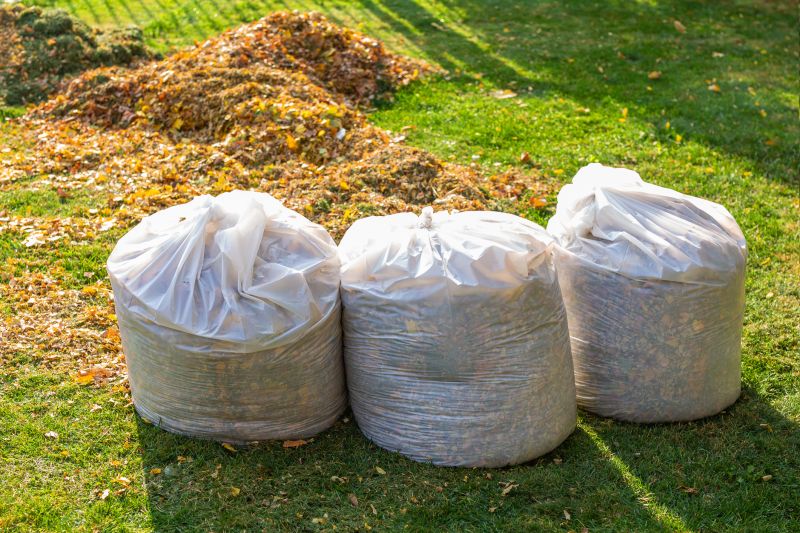 Leaf Cleanup Service in Honolulu, HI