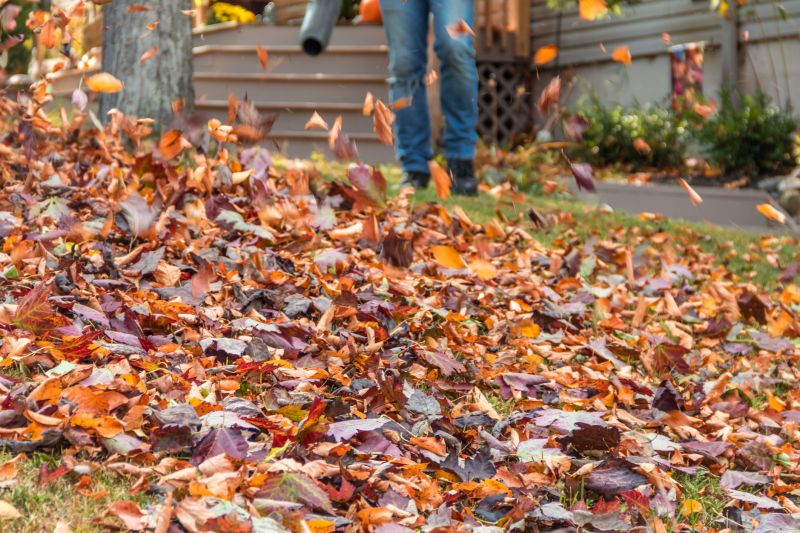 Leaves Vacuuming in Honolulu, HI
