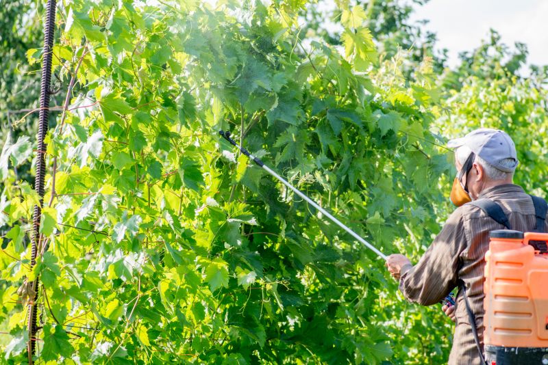 Shrub Care Service in Reno, NV