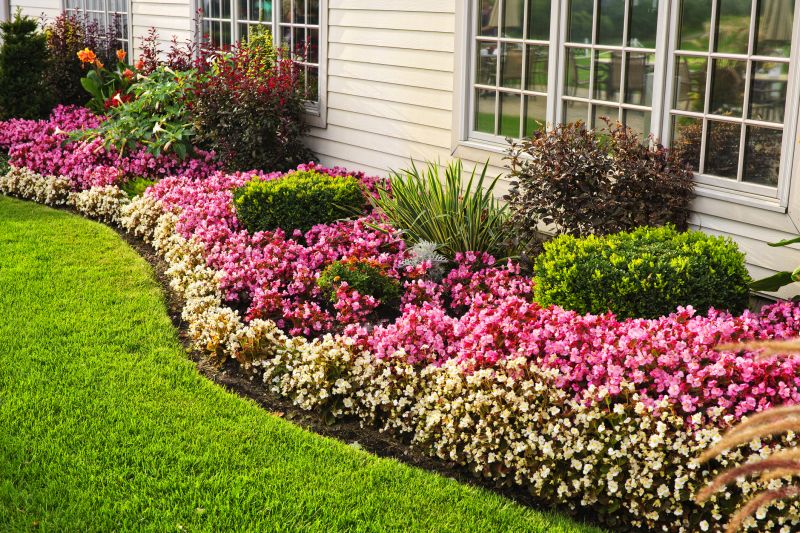 Shrub Replacement in Honolulu, HI
