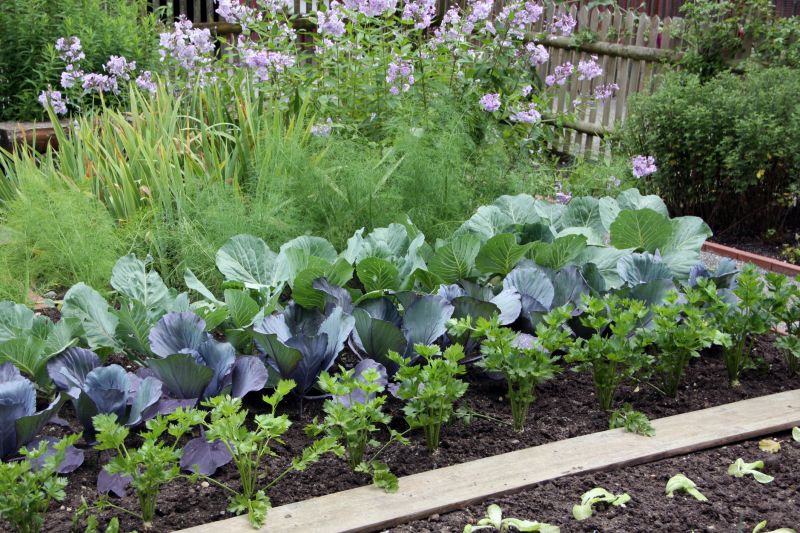 Small Garden Landscaping in Honolulu, HI