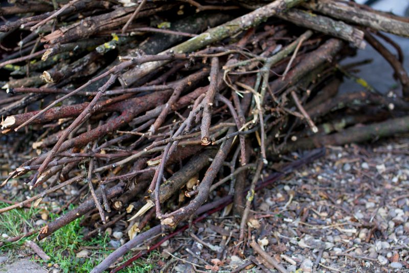 Tree Branches Removal in Honolulu, HI