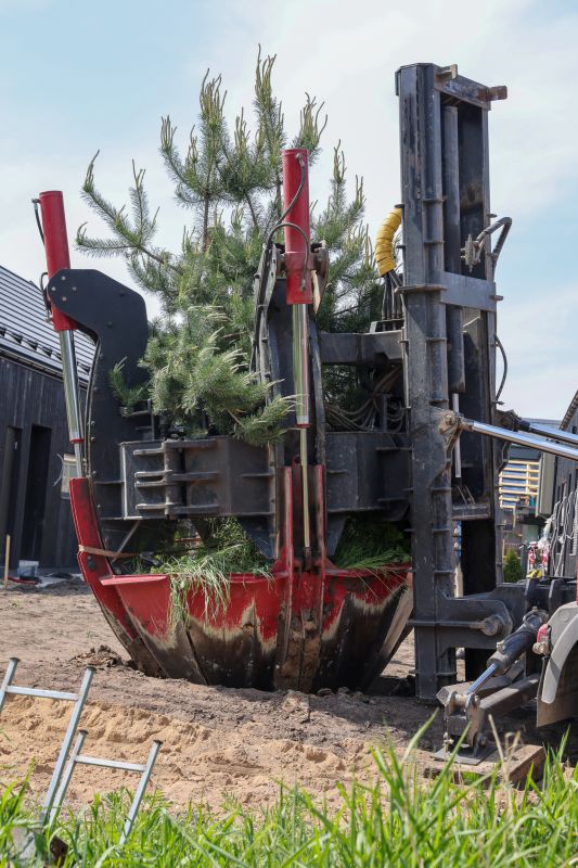 Tree Landscaping in Honolulu, HI