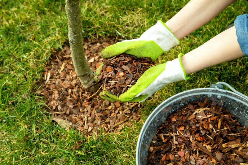 Weeding And Mulching in Ventura County, CA