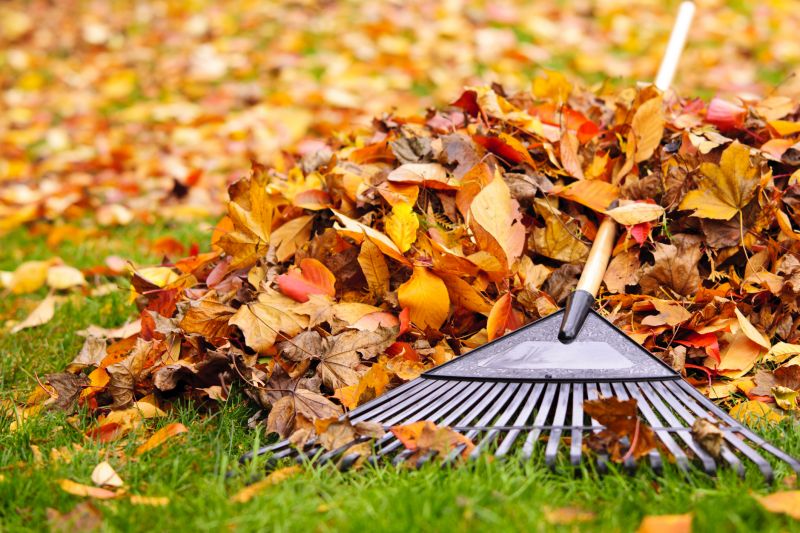 Leaf Removal in Autumn