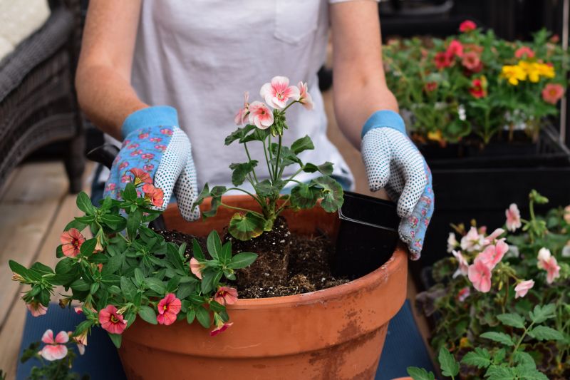 Garden Care Service in Ventura County, CA
